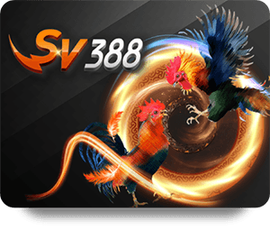 Safe Betting on H19 Live Dealer Hot Sites